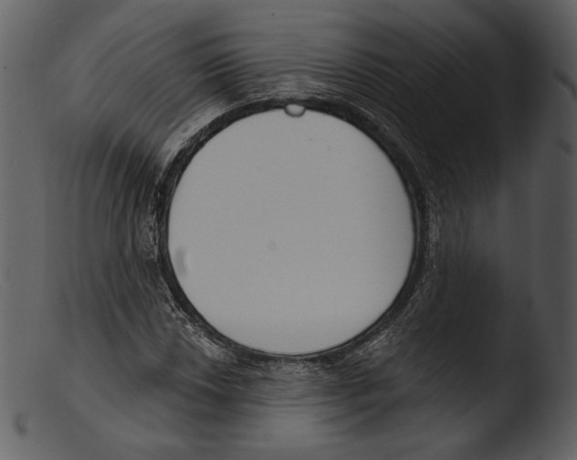 X0000103281018200809261220