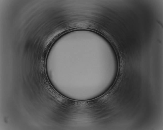 X0000103281019200809261220