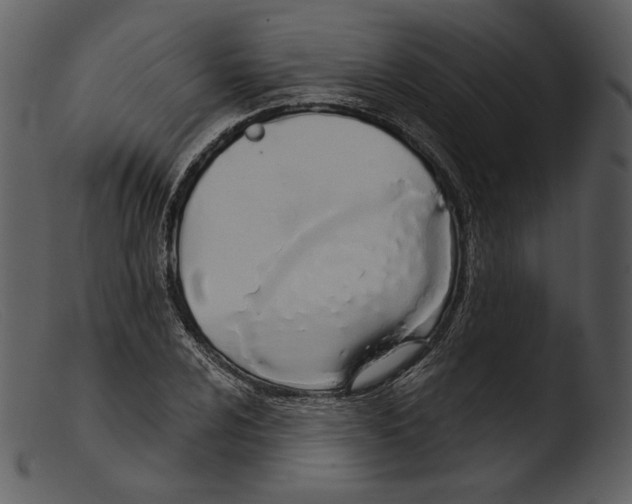 X0000103281024200809261221