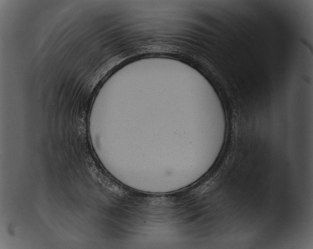 X0000103281025200809261221