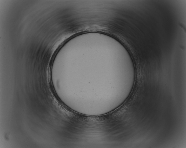 X0000103281032200809261221