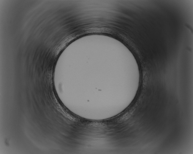 X0000103281033200809261221