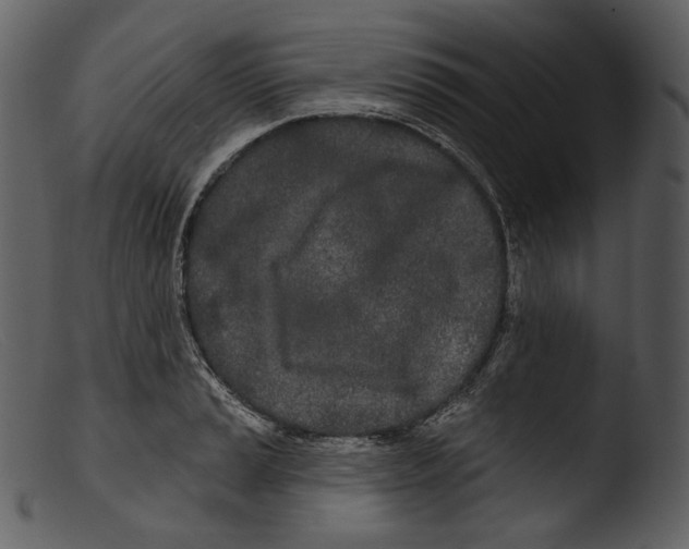 X0000103281037200809261221