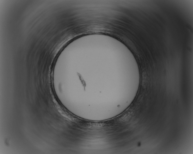 X0000103281039200809261221