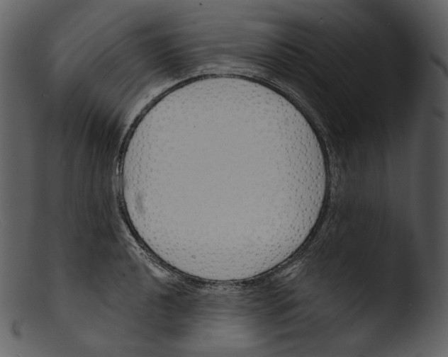 X0000103281040200809261221