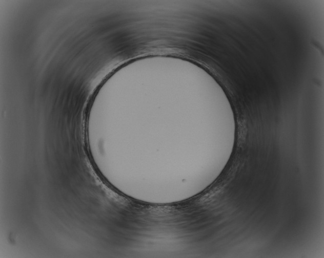 X0000103281046200809261221