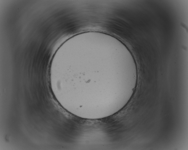 X0000103281056200809261221