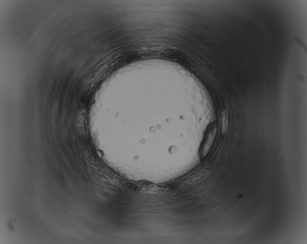 X0000103281059200809261220