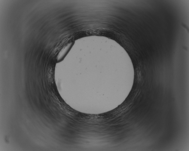 X0000103281060200809261220