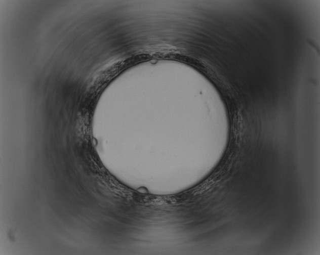 X0000103281063200809261220