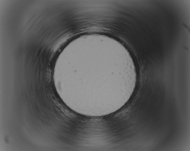 X0000103281067200809261220