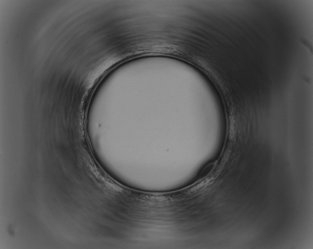 X0000103281071200809261220