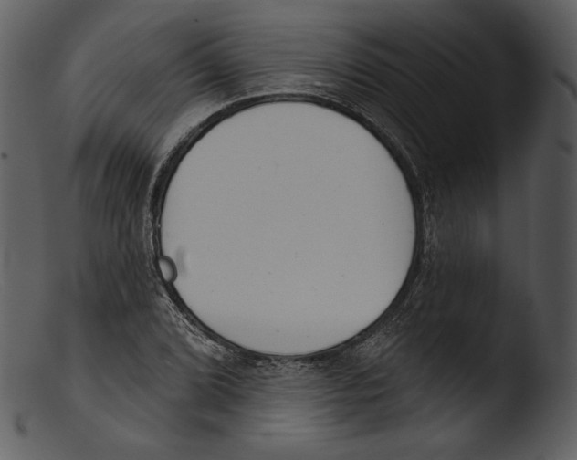 X0000103281072200809261220