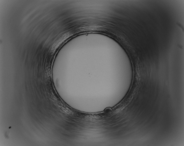 X0000103281073200809261220