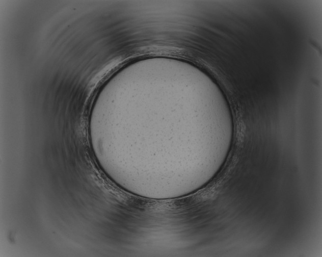 X0000103281074200809261220