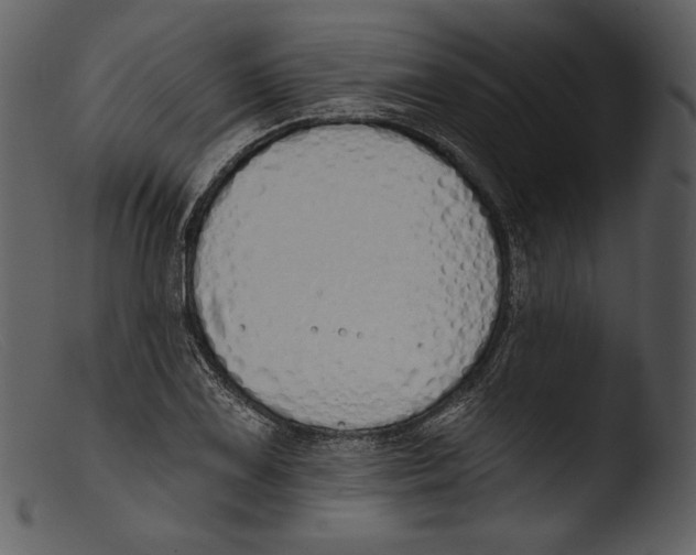 X0000103281075200809261220