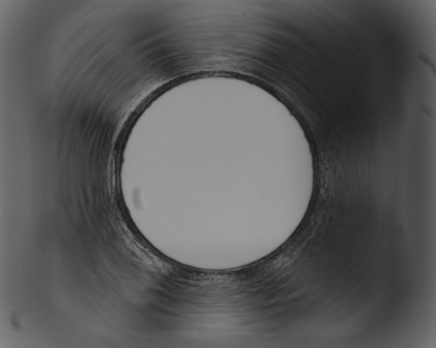 X0000103281076200809261220