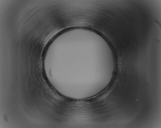 X0000103281077200809261220