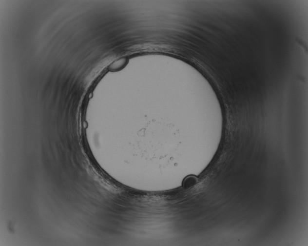 X0000103281082200809261220