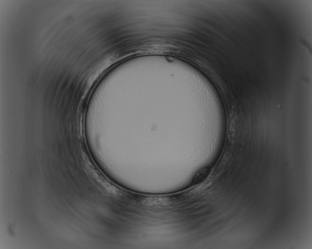 X0000103281083200809261220