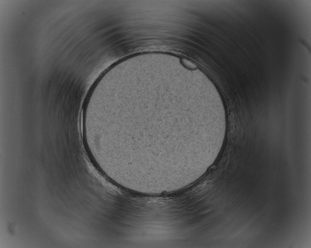 X0000103281084200809261220