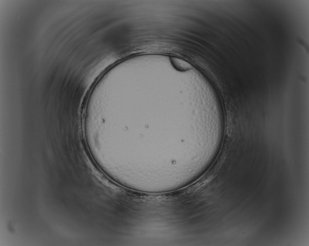 X0000103281087200809261220