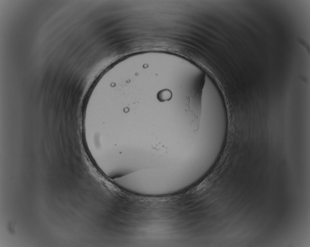 X0000103281088200809261220