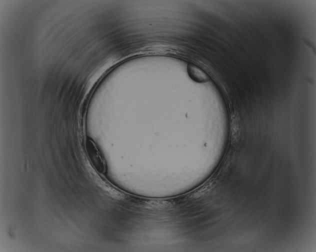 X0000103281091200809261220