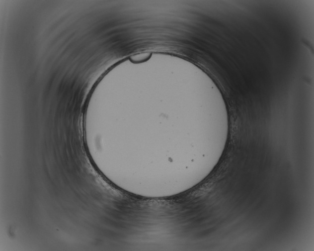 X0000103281092200809261220