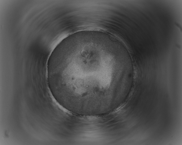 X0000103281095200809261220