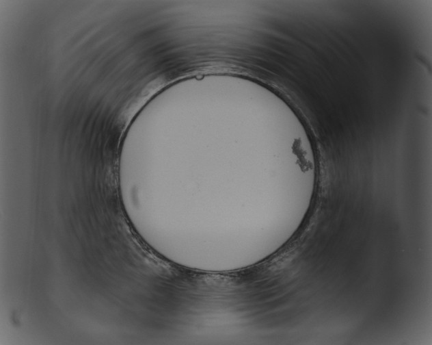 X0000103281097200809261220