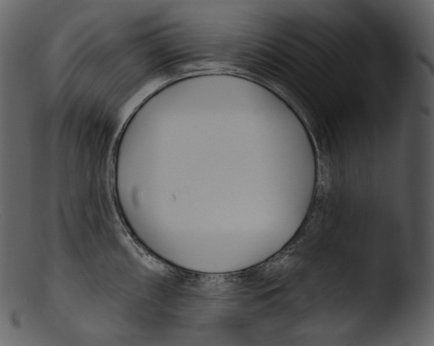 X0000103281098200809261220