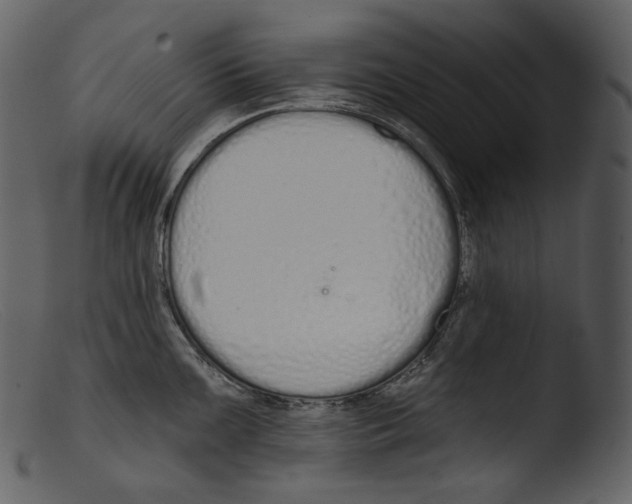 X0000103281099200809261220