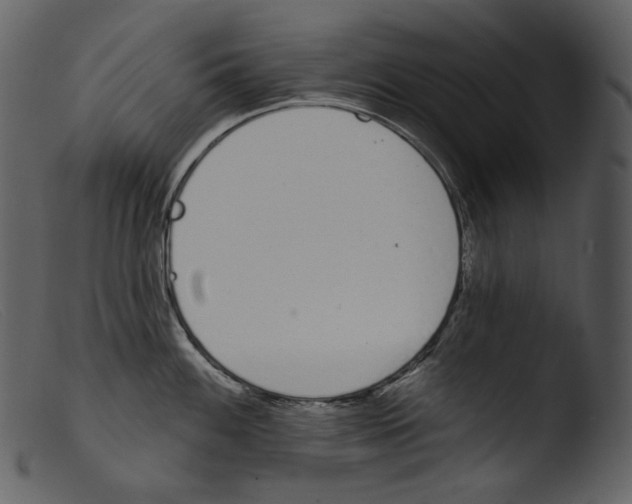 X0000103281100200809261220