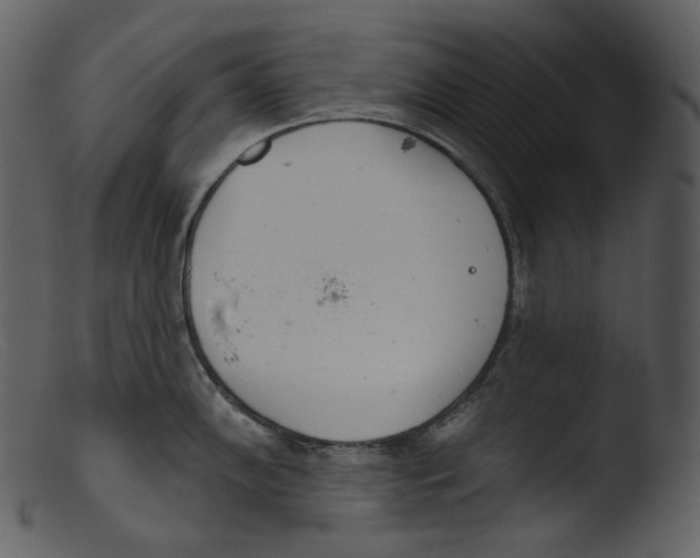 X0000103281102200809261220