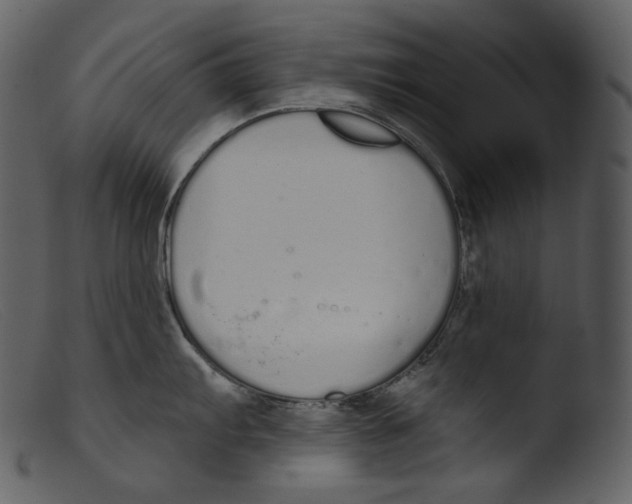 X0000103281103200809261219