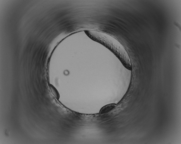 X0000103281104200809261219