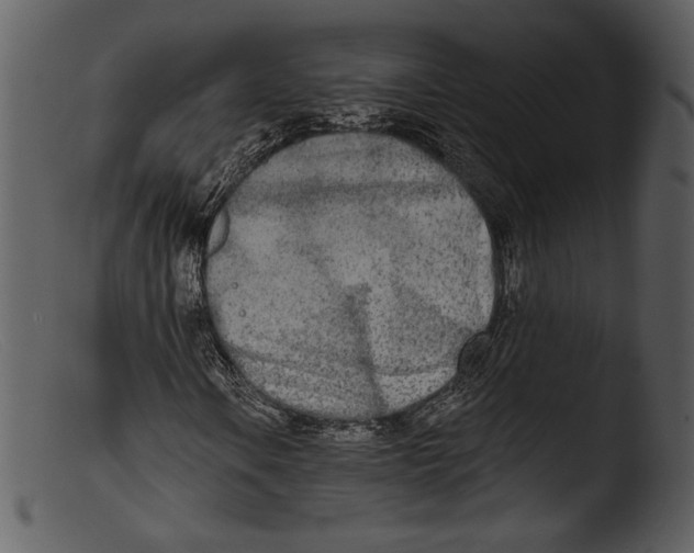 X0000103281106200809261219