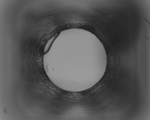 X0000103281109200809261219