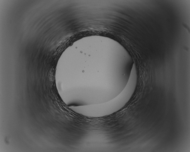 X0000103281110200809261219