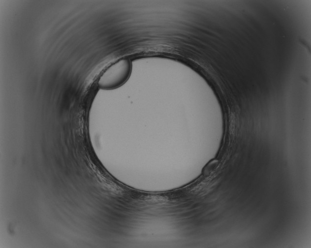 X0000103281115200809261219