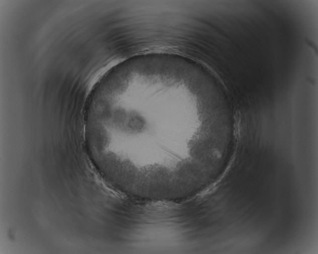 X0000103281117200809261219