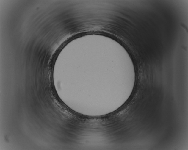 X0000103281118200809261219