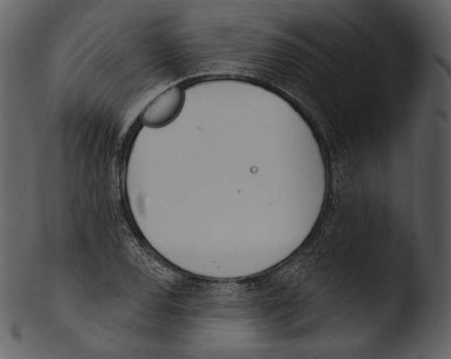 X0000103281120200809261219