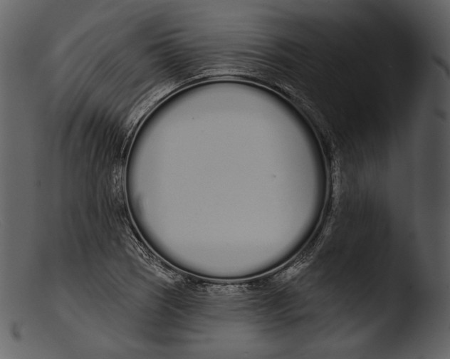 X0000103281121200809261219