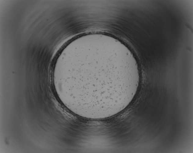 X0000103281124200809261219