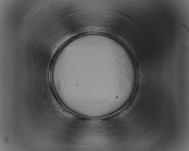 X0000103281125200809261219