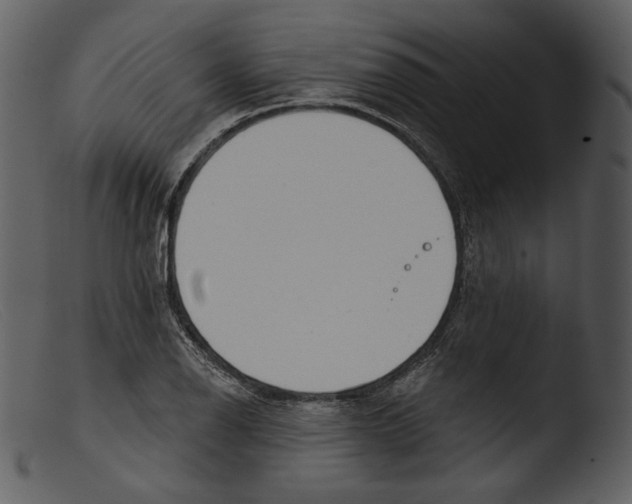 X0000103281126200809261219