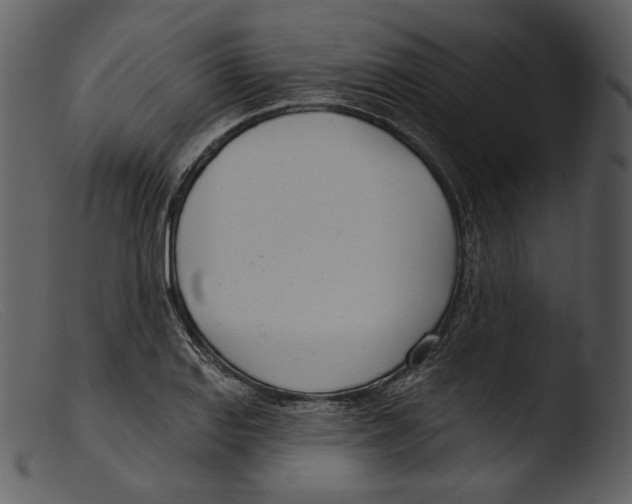 X0000103281127200809261219