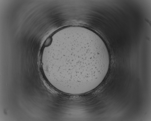 X0000103281128200809261219